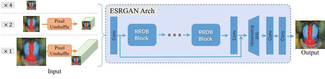 Real-ESRGAN generator architecture, including dense residual blocks and upsampling stages.